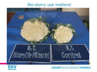 Links of the Biodigester sector with the dairy sector and environment