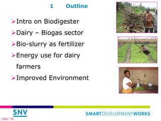 Links of the Biodigester sector with the dairy sector and environment