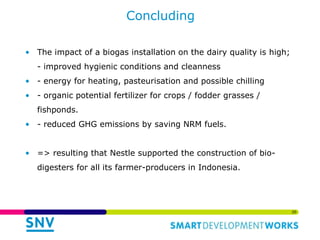 Links of the Biodigester sector with the dairy sector and environment