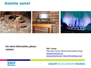 Links of the Biodigester sector with the dairy sector and environment
