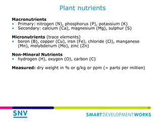 Links of the Biodigester sector with the dairy sector and environment