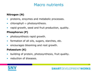 Links of the Biodigester sector with the dairy sector and environment