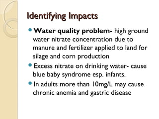Challenges in assessing impacts in dairy farming and dairy processing