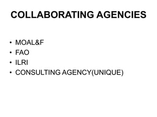 Climate and efficiency gains in dairy systems: Pilot project