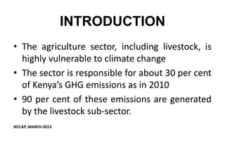 Climate and efficiency gains in dairy systems: Pilot project
