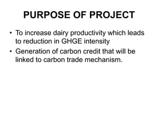 Climate and efficiency gains in dairy systems: Pilot project