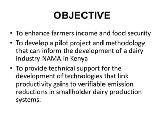 Climate and efficiency gains in dairy systems: Pilot project