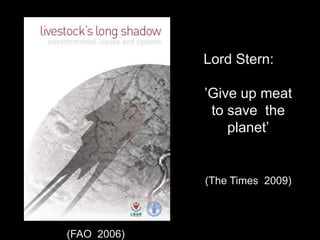 Introducing the CLEANED  project ex-ante impact assessment framework 