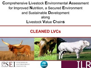 Introducing the CLEANED  project ex-ante impact assessment framework 