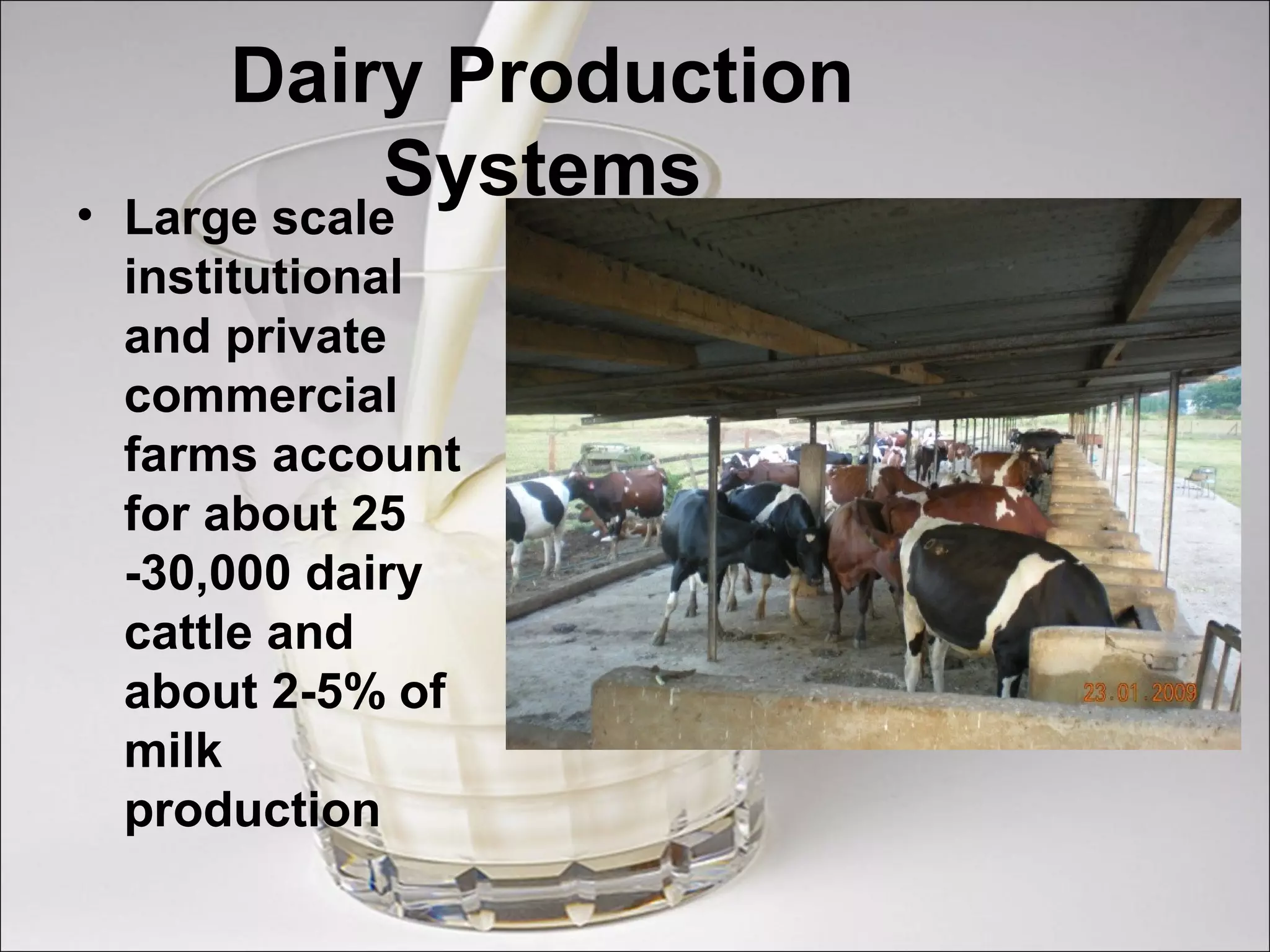 Dairy Production
Systems• Large scale
institutional
and private
commercial
farms account
for about 25
-30,000 dairy
cattle and
about 2-5% of
milk
production
 