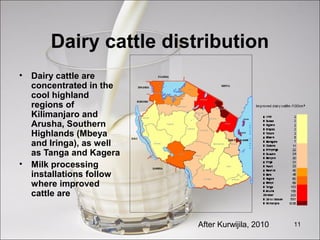 11
Dairy cattle distribution
• Dairy cattle are
concentrated in the
cool highland
regions of
Kilimanjaro and
Arusha, Southern
Highlands (Mbeya
and Iringa), as well
as Tanga and Kagera
• Milk processing
installations follow
where improved
cattle are
After Kurwijila, 2010
 