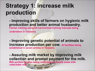 Strategy 1: increase milk
production
- Improving skills of farmers on hygienic milk
production and better animal husbandry.
Farmer training using EA harmonised training manuals being
undertaken in Tanzania.
- Improving genetic potential of animals to
increase production per cow. AI facilities being
established in zonal centres in Tanzania
- Assuring milk market by improving milk
collection and prompt payment for the milk.
Milk pockets studies being undertaken to locate areas with
collectable milk
 