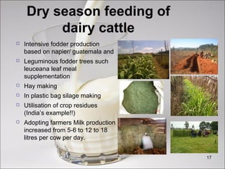 Overview of the Tanzanian dairy industry challenges and opportunities