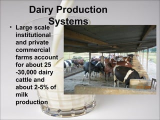 Overview of the Tanzanian dairy industry challenges and opportunities