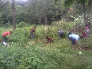 Clean india green india by sapan