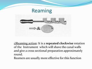 Reaming
1)Reaming action: It is a repeated clockwise rotation
of the Instrument which will shave the canal walls
and give a cross sectional preparation approximately
round.
Reamers are usually more effective for this function
 