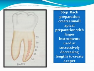 Step Back
preparation
creates small
apical
preparation with
larger
instruments
used at
successively
decreasing
lengths tocreate
a taper
 