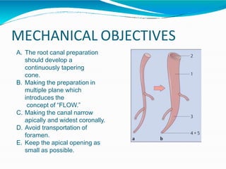 MECHANICAL OBJECTIVES
A. The root canal preparation
should develop a
continuously tapering
cone.
B. Making the preparation in
multiple plane which
introduces the
concept of “FLOW.”
C. Making the canal narrow
apically and widest coronally.
D. Avoid transportation of
foramen.
E. Keep the apical opening as
small as possible.
 