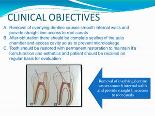 CLINICAL OBJECTIVES
A. Removal of overlying dentine causes smooth internal walls and
provide straight line access to root canals
B. After obturation there should be complete sealing of the pulp
chamber and access cavity so as to prevent microleakage.
C. Tooth should be restored with permanent restoration to maintain it’s
form,function and esthetics and patient should be recalled on
regular basis for evaluation
Removal of overlying dentine
causes smooth internal wallls
and provide straight lineaccess
to rootcanals
 