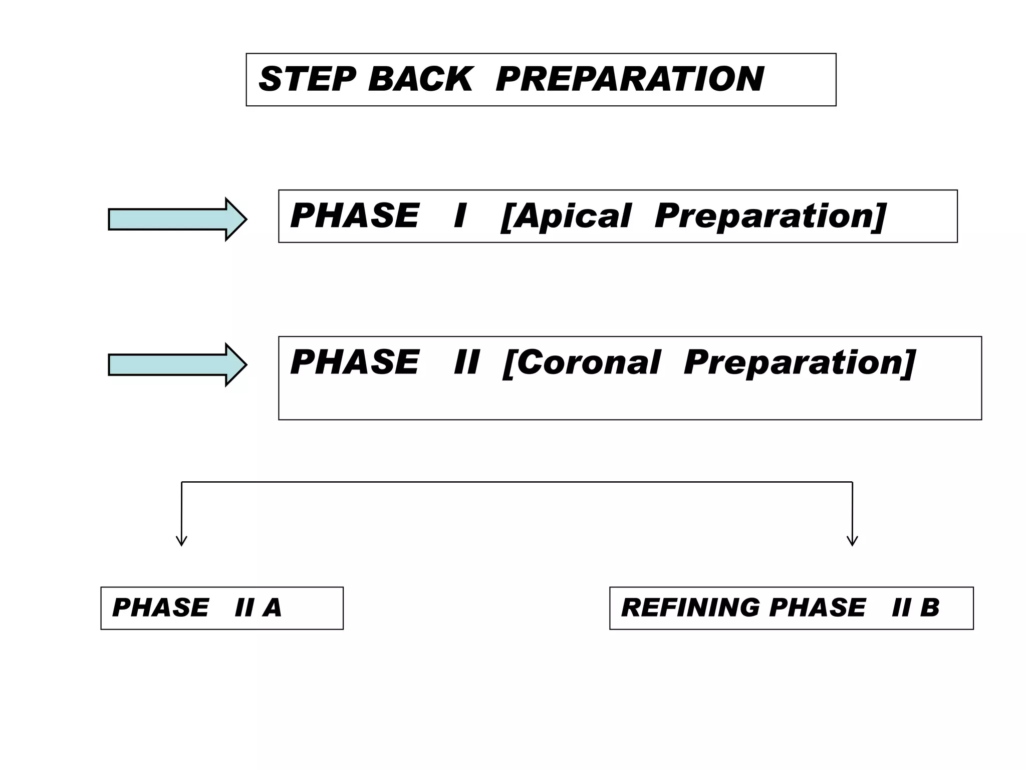 STEP BACK PREPARATION

PHASE I

[Apical Preparation]

PHASE II [Coronal Preparation]

PHASE II A

REFINING PHASE II B

 