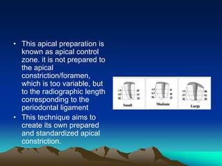 • This apical preparation is
known as apical control
zone. it is not prepared to
the apical
constriction/foramen,
which is too variable, but
to the radiographic length
corresponding to the
periodontal ligament
• This technique aims to
create its own prepared
and standardized apical
constriction.
 