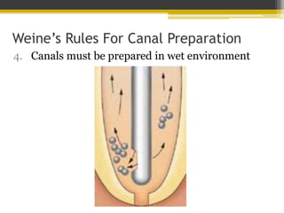 Cleaning and Shaping of Root Canal Systems | PPTX