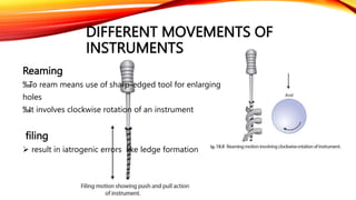 Edged Instrument Cleaning and Shaping of the Root Canal System.pptx