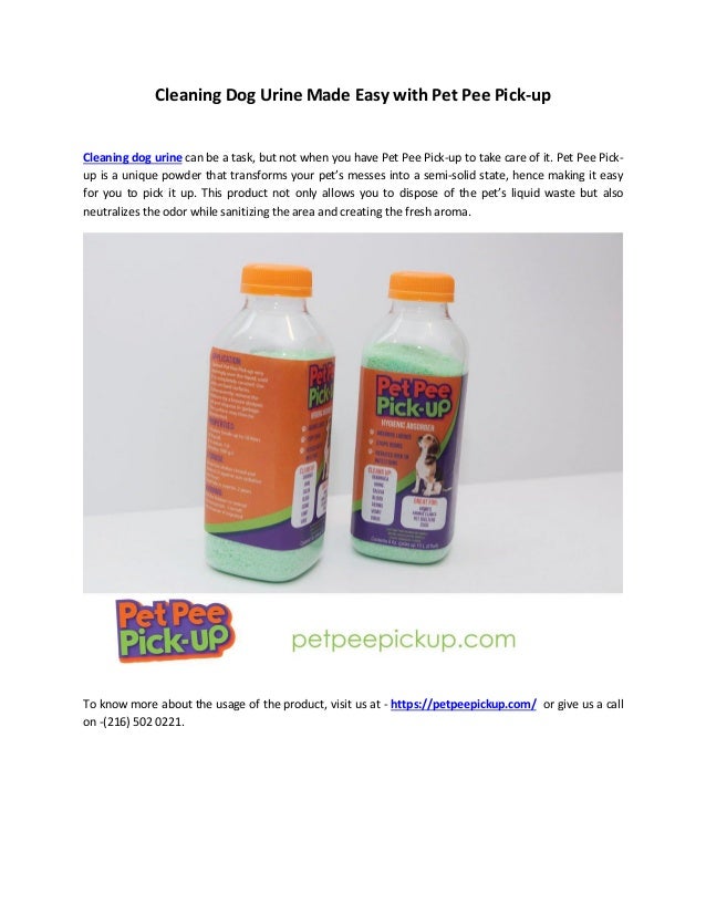 dog pee cleaning solution