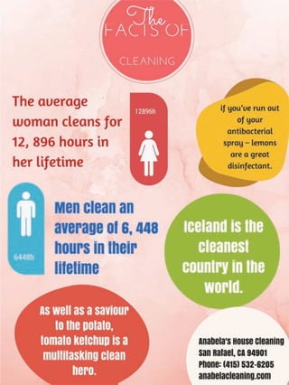 Interesting Facts About Cleaning