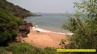 Cleaning Goa's Beaches & Islands in India | PPTX