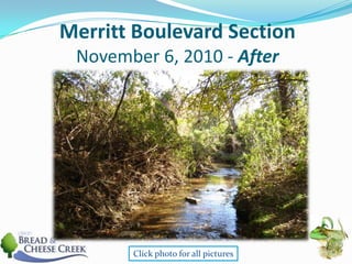 Merritt Boulevard SectionNovember 6, 2010 - AfterClick photo for all pictures