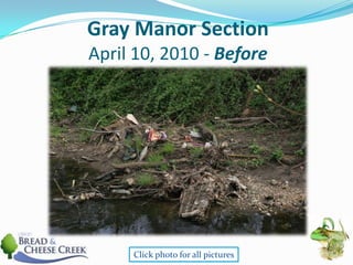 Gray Manor SectionApril 10, 2010 - BeforeClick photo for all pictures