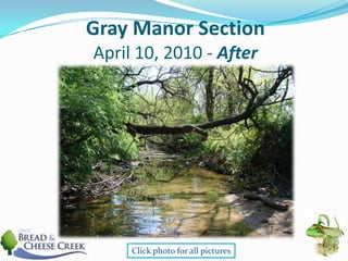 Gray Manor SectionApril 10, 2010 - AfterClick photo for all pictures