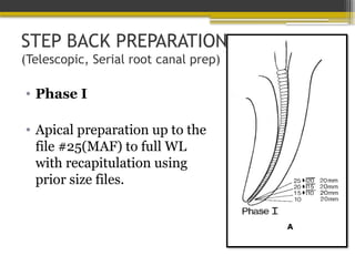 STEP BACK PREPARATION
(Telescopic, Serial root canal prep)
• Phase I
• Apical preparation up to the
file #25(MAF) to full WL
with recapitulation using
prior size files.
 