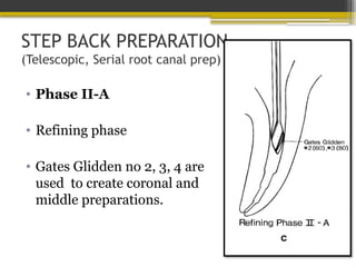 STEP BACK PREPARATION
(Telescopic, Serial root canal prep)
• Phase II-A
• Refining phase
• Gates Glidden no 2, 3, 4 are
used to create coronal and
middle preparations.
 