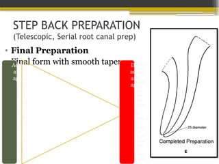 STEP BACK PREPARATION
(Telescopic, Serial root canal prep)
• Final Preparation
• Final form with smooth taper.
Adv
ant
age
s
Better
tactile
awaren
ess
Keeps
apical
prepar
ation
small
in its
origina
l
positio
n-
gradua
l taper
Ability
to
prepar
e
proper
apical
stop
Avoids
zippin
g
Dis
adv
ant
age
s
Chan
ces of
pushi
ng
debris
into
peri-
radic
ular
tissue
s
WL
likely
to
chang
e as
canal
curva
tures
are
elimi
nated
 