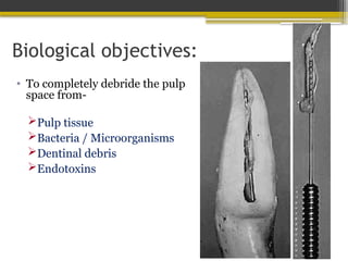 Biological objectives:
• To completely debride the pulp
space from-
Pulp tissue
Bacteria / Microorganisms
Dentinal debris
Endotoxins
 