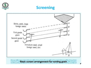 Cleaning, sorting and grading, foodsafe | PDF