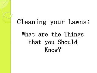 Cleaning your Lawns:
What are the Things
that you Should
Know?
 