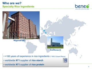 Clean Label Indulgence BENEO | PPTX