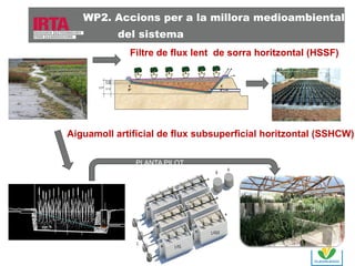 WP2. Accions per a la millora medioambiental
del sistema
Filtre de flux lent de sorra horitzontal (HSSF)
0,10
0,05
0,27

0,12

4
5º

4
5º

Aiguamoll artificial de flux subsuperficial horitzontal (SSHCW)
PLANTA PILOT

 