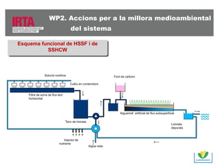 WP2. Accions per a la millora medioambiental
del sistema
the system

Esquema funcional de HSSF i de
SSHCW

Solució nutritiva

Font de carboni
Cultiu en contenidors

Filtre de sorra de flux lent
horitzontal

Aiguamoll artificial de flux subsuperficial
Tanc de lixiviats

Injector de
nutrients

Lixiviats
depurats

Aigua neta

 