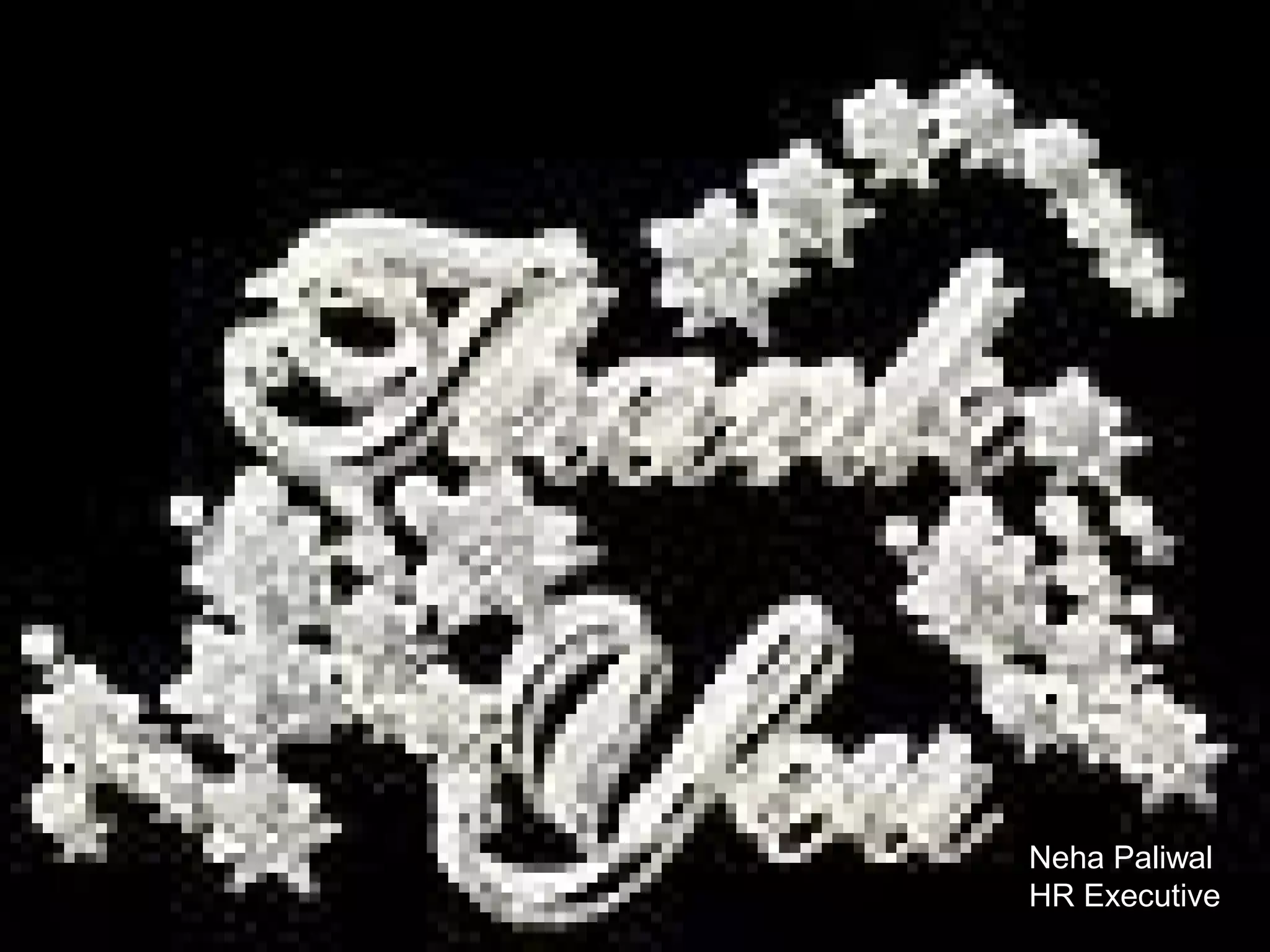 Neha Paliwal
HR Executive