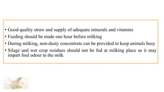 • Good quality straw and supply of adequate minerals and vitamins
• Feeding should be made one hour before milking
• During milking, non-dusty concentrate can be provided to keep animals busy
• Silage and wet crop residues should not be fed at milking place as it may
impart foul odour to the milk
 