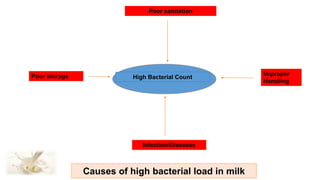 High Bacterial Count
Infection/Diseases
Poor sanitation
Improper
Handling
Poor storage
Causes of high bacterial load in milk
 