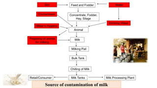 Source of contamination of milk
Milk Tanks Milk Processing PlantRetail/Consumer
Chilling of Milk
Bulk Tank
Milking Pail
MilkPreparing of animal
for milking
Animal
Milker’s Hygiene
Environment
Drinking Water
Soil Feed and Fodder Water
Concentrate, Fodder,
Hay, Silage
 