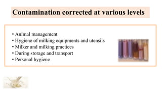 • Animal management
• Hygiene of milking equipments and utensils
• Milker and milking practices
• During storage and transport
• Personal hygiene
Contamination corrected at various levels
 