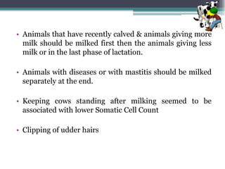 • Animals that have recently calved & animals giving more
milk should be milked first then the animals giving less
milk or in the last phase of lactation.
• Animals with diseases or with mastitis should be milked
separately at the end.
• Keeping cows standing after milking seemed to be
associated with lower Somatic Cell Count
• Clipping of udder hairs
 