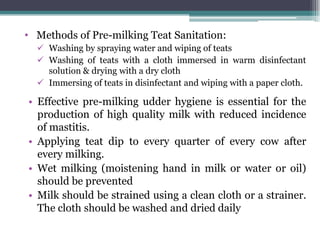 • Methods of Pre-milking Teat Sanitation:
 Washing by spraying water and wiping of teats
 Washing of teats with a cloth immersed in warm disinfectant
solution & drying with a dry cloth
 Immersing of teats in disinfectant and wiping with a paper cloth.
• Effective pre-milking udder hygiene is essential for the
production of high quality milk with reduced incidence
of mastitis.
• Applying teat dip to every quarter of every cow after
every milking.
• Wet milking (moistening hand in milk or water or oil)
should be prevented
• Milk should be strained using a clean cloth or a strainer.
The cloth should be washed and dried daily
 