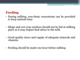 Feeding
• During milking, non-dusty concentrate can be provided
to keep animals busy
• Silage and wet crop residues should not be fed at milking
place as it may impart foul odour to the milk
• Good quality straw and supply of adequate minerals and
vitamins
• Feeding should be made one hour before milking
 